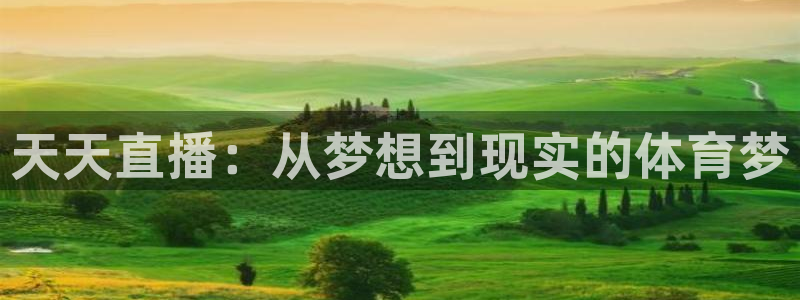天天直播：从梦想到现实的体育梦
