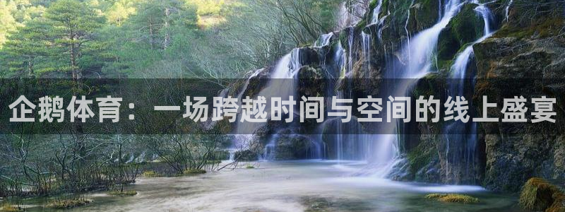 企鹅体育：一场跨越时间与空间的线上盛宴