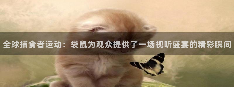 全球捕食者运动：袋鼠为观众提供了一场视听盛宴的精彩瞬间