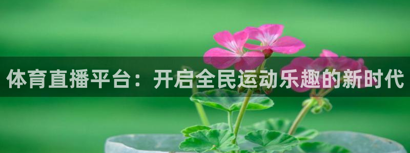 体育直播平台：开启全民运动乐趣的新时代