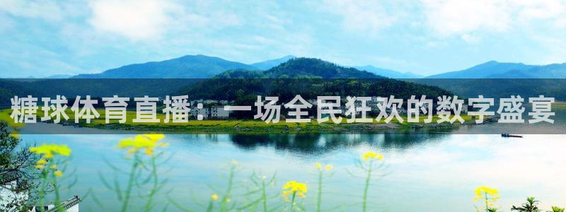 糖球体育直播：一场全民狂欢的数字盛宴