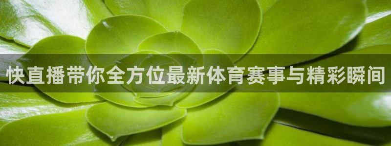 快直播带你全方位最新体育赛事与精彩瞬间