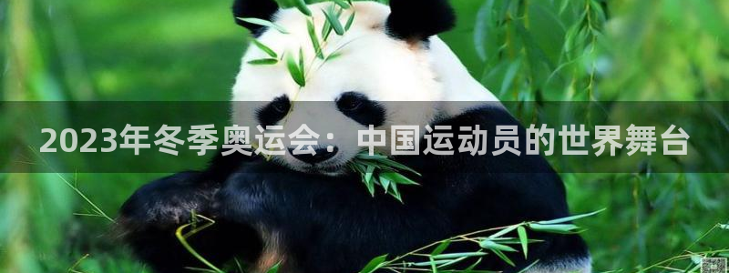 2023年冬季奥运会：中国运动员的世界舞台