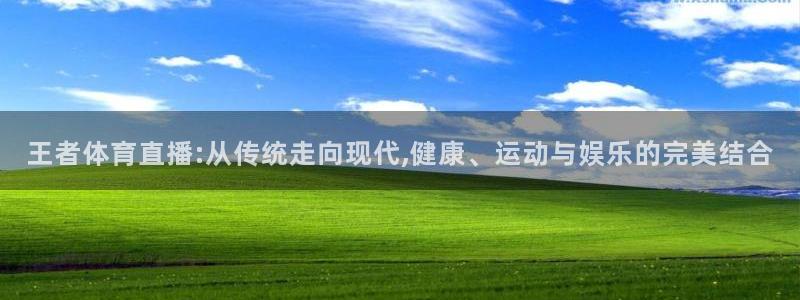 王者体育直播:从传统走向现代,健康、运动与娱乐的完美结合