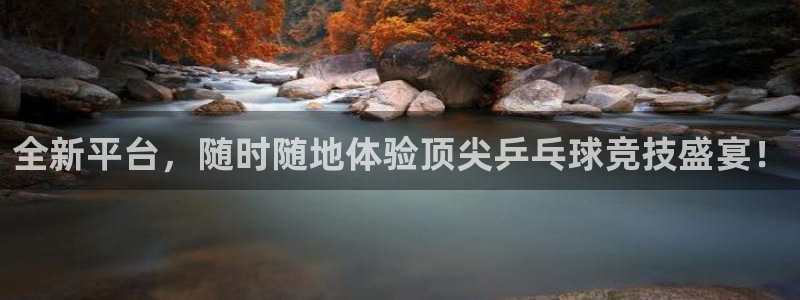 全新平台，随时随地体验顶尖乒乓球竞技盛宴！