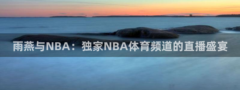 雨燕与NBA：独家NBA体育频道的直播盛宴